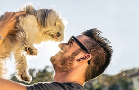 6 Lessons our Dogs Teach Us ?>