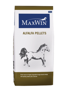 Maxwin Alfalfa
