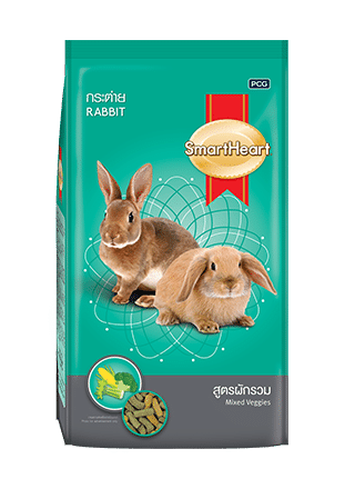 SmartHeart® Rabbit ?>