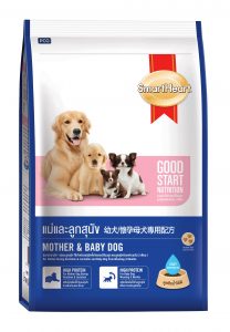 Mother Dog and Baby Dog from weaning to 3 months