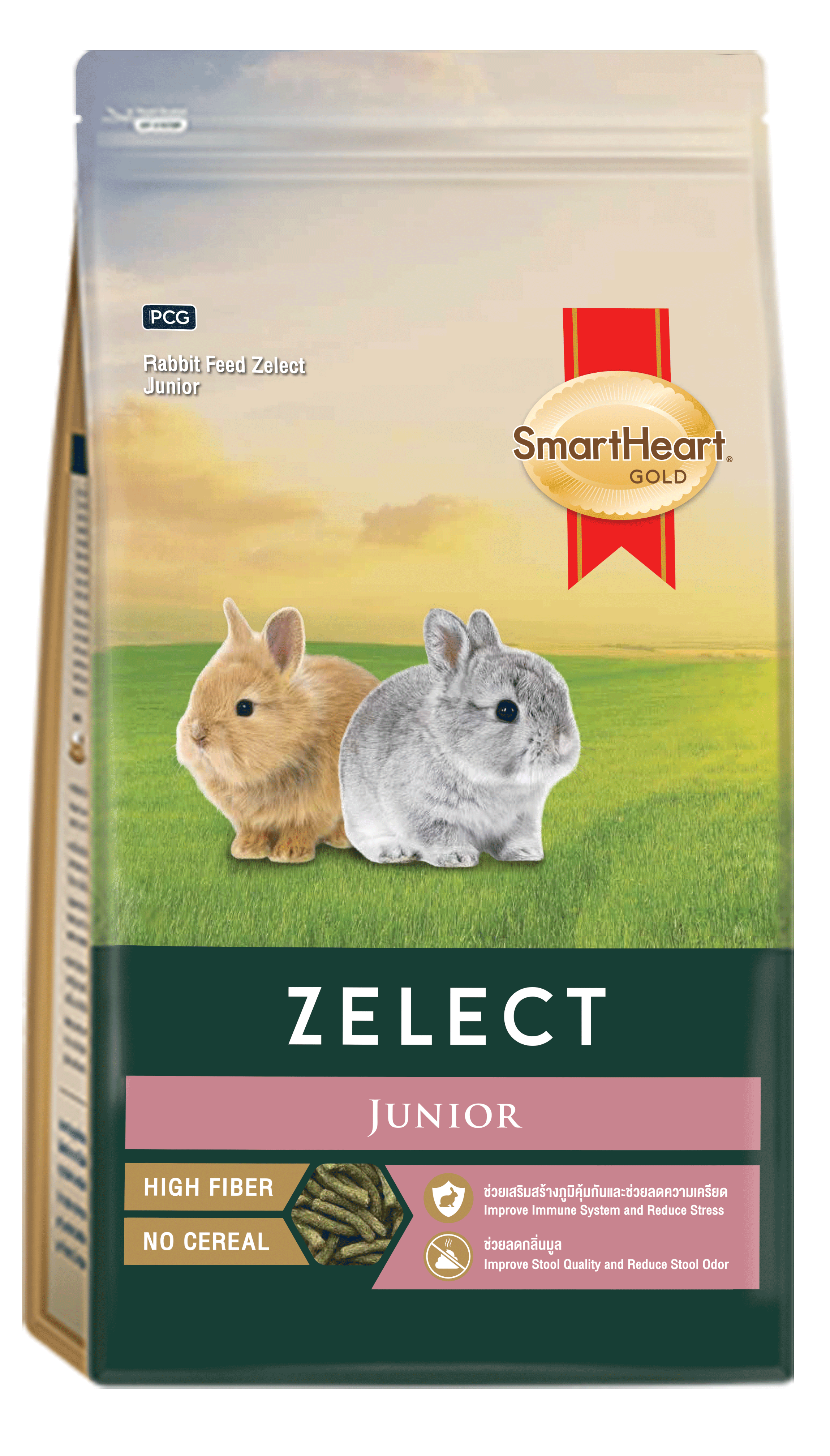 Zelect Junior ?>