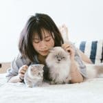 post-Taking care of your Cats ?>